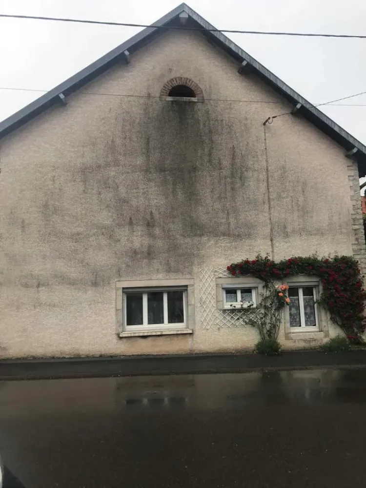 entreprise-ravalement-facade-doubs (6)
